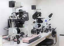PGTA顕微鏡写真